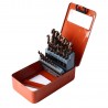 Juego de Brocas HSS-Co para metal desde 1-13mm