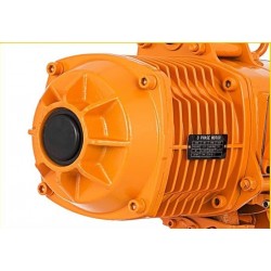 Levantador de Cadena (Winch)