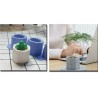 Molde de Silicon para Cactus